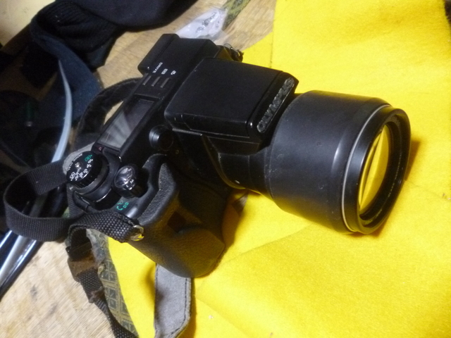 P1040722.JPG